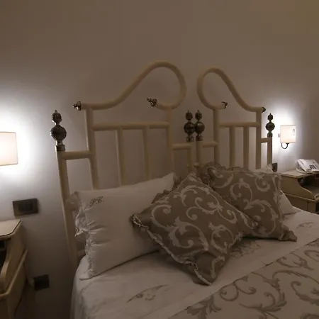 Hotel Plazacarrisi &